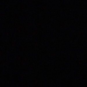 Meet your Posher, Daisy